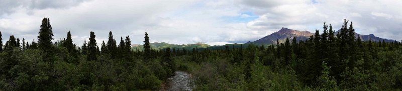 2017-alaska-106.jpg - Denali national park