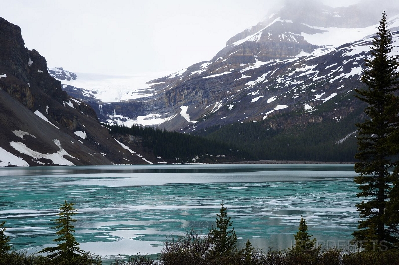 Canada-2012-017.JPG - Bow Lake