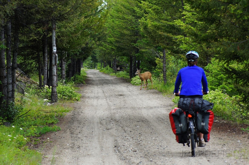 Canada-2012-072.JPG - Chute lake road