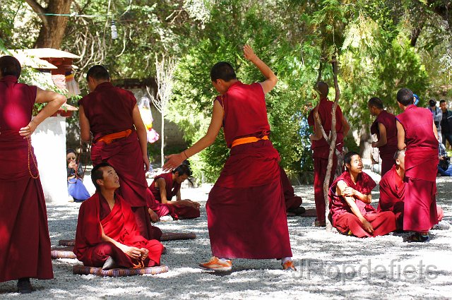 DSC02822.JPG - Sera klooster met debatterende monniken