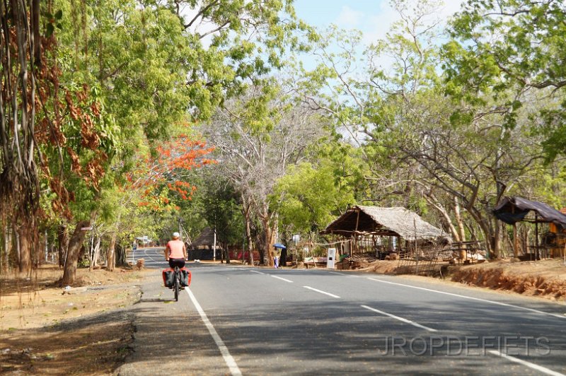 2014-sri-lanka-055.jpg - Kataragama