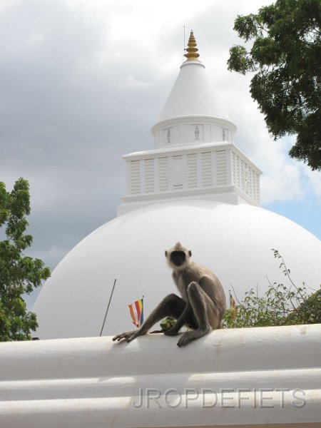 2014-sri-lanka-056.jpg - Kataragama