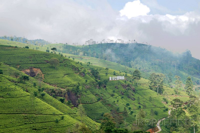 2014-sri-lanka-079.jpg - Thee plantages bij Nuware Eliya