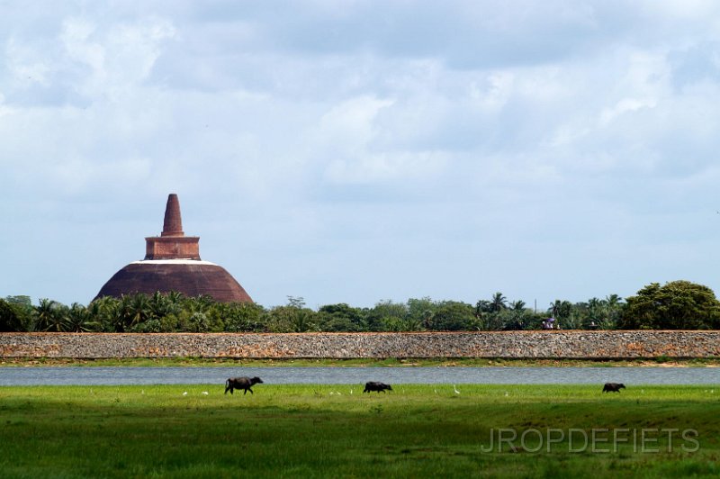 2014-sri-lanka-168.jpg - Anuradhapura