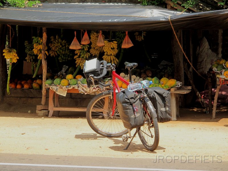 2014-sri-lanka-176.jpg - Fruit onderweg